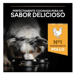 Pro Plan Adult Light/Sterilised Pollo pienso para perros Best