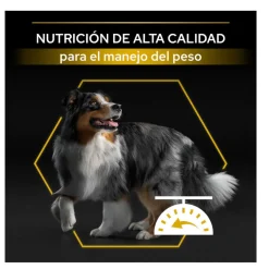 Pro Plan Adult Light/Sterilised Pollo pienso para perros Best