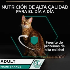 Pro Plan Adult Maintenance Terrina rico en pollo para gatos Sale