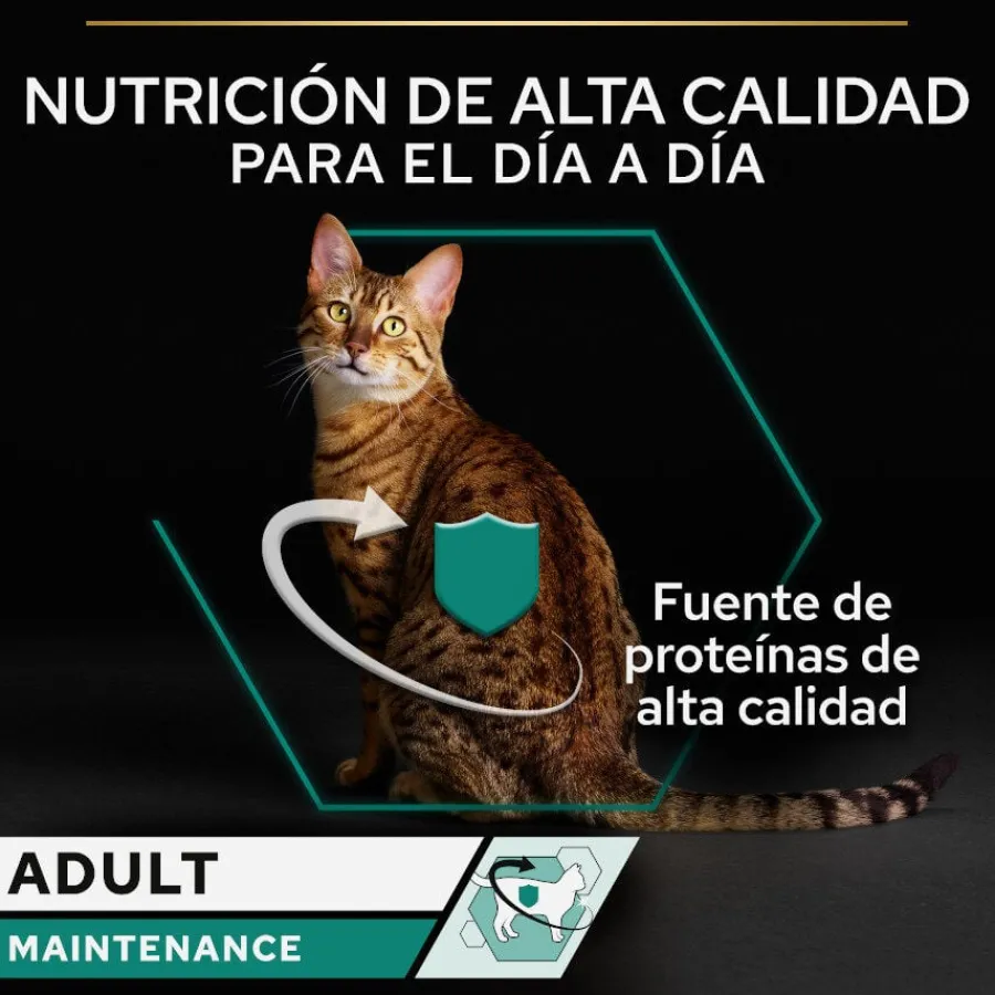 Pro Plan Adult Maintenance Terrina rico en pollo para gatos Sale
