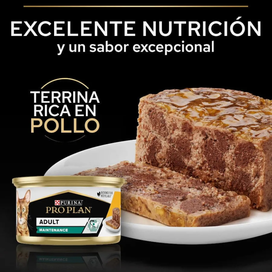 Pro Plan Adult Maintenance Terrina rico en pollo para gatos Sale