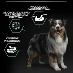 Pro Plan Adult Medium Digestión Cordero pienso para perros Best