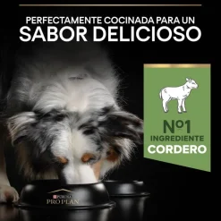 Pro Plan Adult Medium Digestión Cordero pienso para perros Best