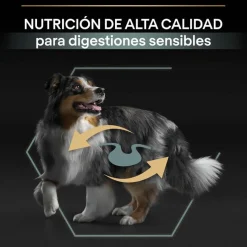 Pro Plan Adult Medium Digestión Cordero pienso para perros Best