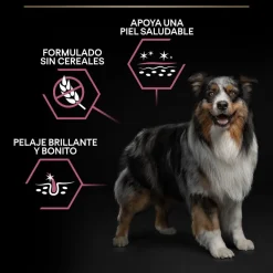 Pro Plan Adult Medium Sensitive Skin Salmón pienso para perros New