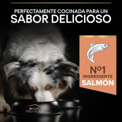 Pro Plan Adult Medium Sensitive Skin Salmón pienso para perros New