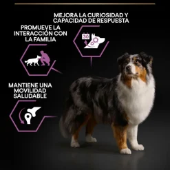 Pro Plan Adult Medium y Large Pollo pienso para perros Sénior +7 Clearance
