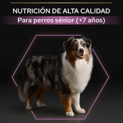 Pro Plan Adult Medium y Large Pollo pienso para perros Sénior +7 Clearance