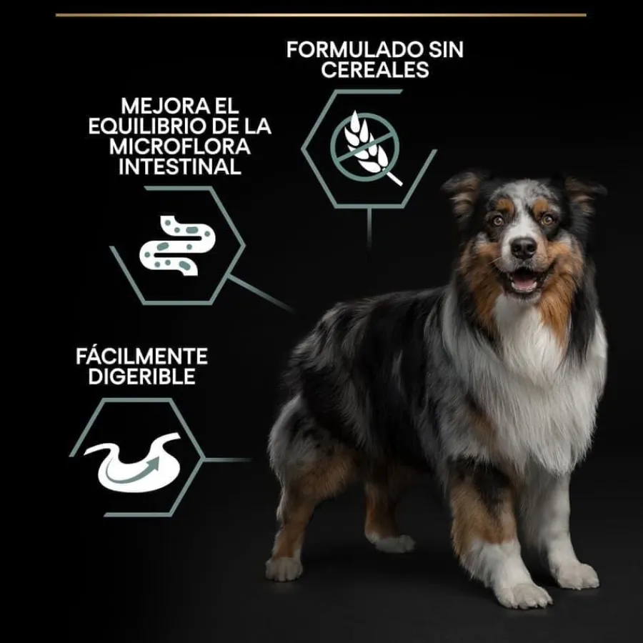 Pro Plan Adult Medium y Large Digestión Pavo pienso para perros Sale