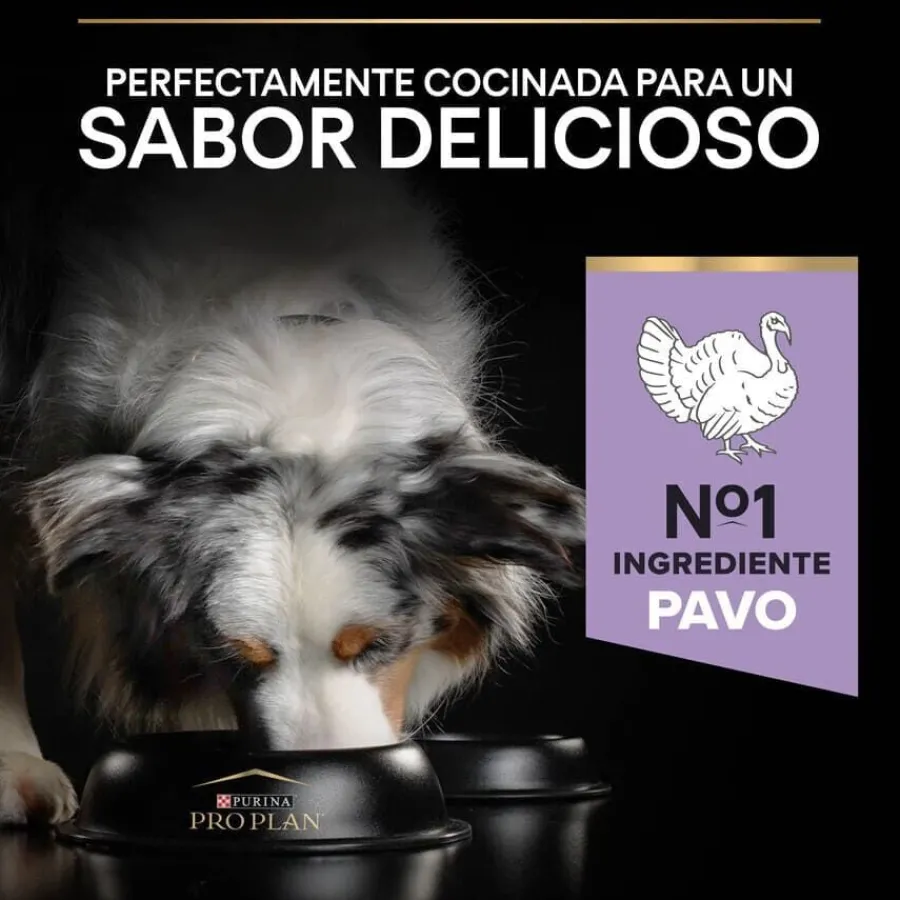 Pro Plan Adult Medium y Large Digestión Pavo pienso para perros Sale