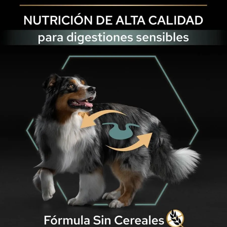 Pro Plan Adult Medium y Large Digestión Pavo pienso para perros Sale