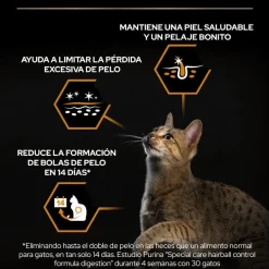 Pro Plan Adult OptiDerma Salmón pienso para gatos Best