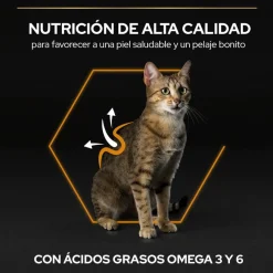Pro Plan Adult OptiDerma Salmón pienso para gatos Best