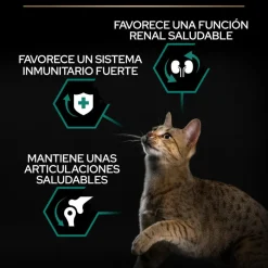 Pro Plan Adult Renal Plus Pollo Pienso para gatos Sale
