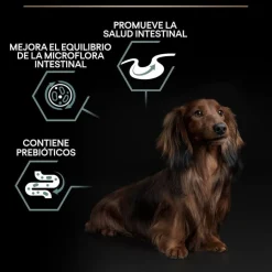 Pro Plan Adult Small y Mini Digestión Cordero pienso para perros Clearance