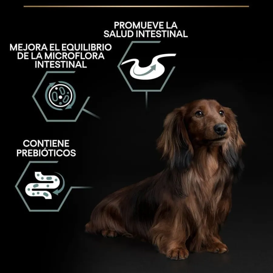 Pro Plan Adult Small y Mini Digestión Cordero pienso para perros Clearance