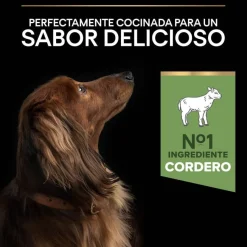 Pro Plan Adult Small y Mini Digestión Cordero pienso para perros Clearance