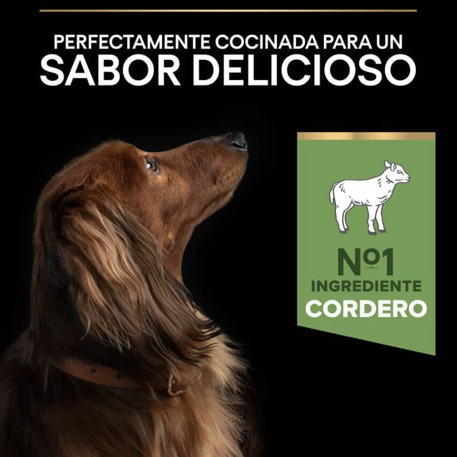 Pro Plan Adult Small y Mini Digestión Cordero pienso para perros Clearance