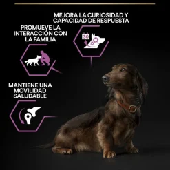 Pro Plan Adult Small y Mini Pollo pienso para perros Sénior +9 Sale