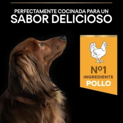 Pro Plan Adult Small y Mini Pollo pienso para perros Sénior +9 Sale