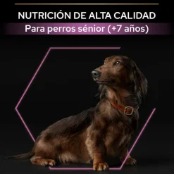 Pro Plan Adult Small y Mini Pollo pienso para perros Sénior +9 Sale