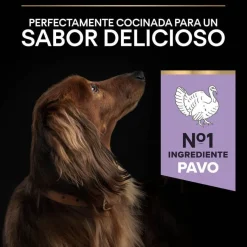 Pro Plan Adult Small y Mini Digestión Pavo pienso para perros New