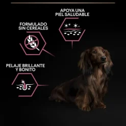 Pro Plan Adult Small y Mini Salmón Sensitive Skin pienso para perros Clearance