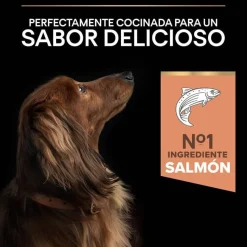 Pro Plan Adult Small y Mini Salmón Sensitive Skin pienso para perros Clearance