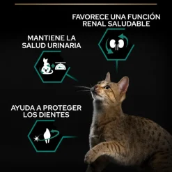 Pro Plan Adult Sterilized Pavo Pienso para gatos Outlet