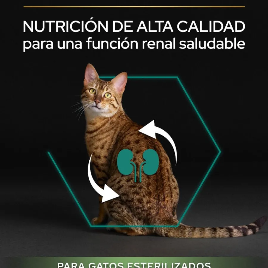 Pro Plan Adult Sterilized Salmón Pienso para gatos Clearance