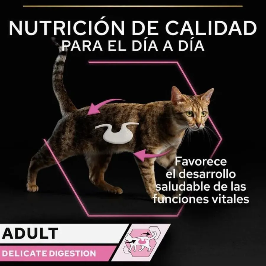 Pro Plan Delicate Digestion con Pavo en Salsa para gatos Discount