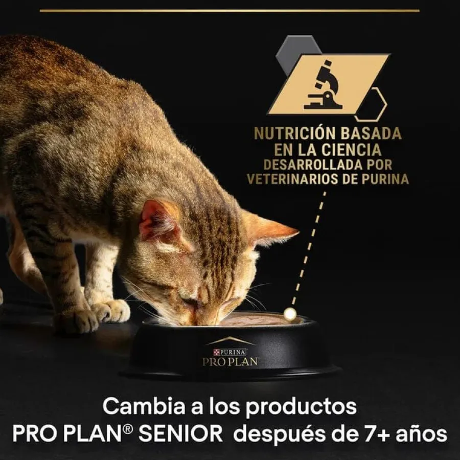 Pro Plan Delicate Digestion con Pavo en Salsa para gatos Discount