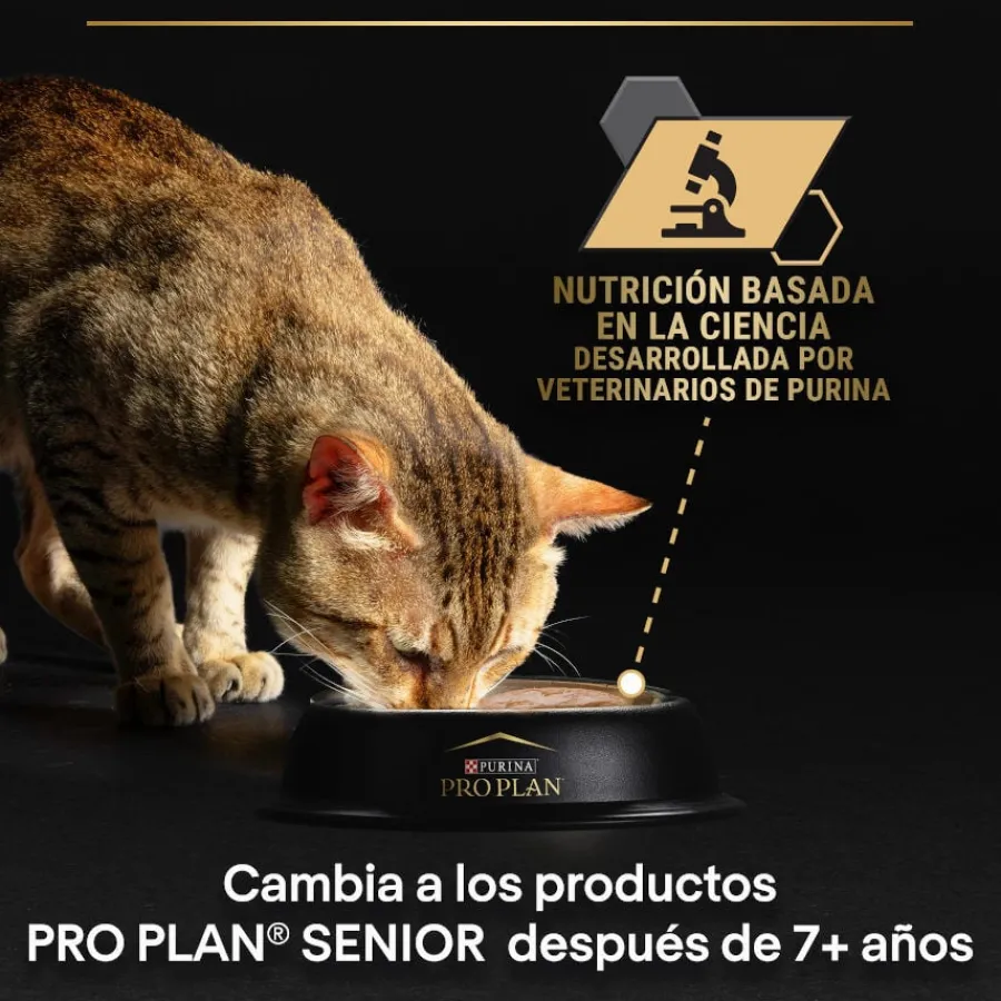 Pro Plan Delicate Mousse rico en pavo para gatos Hot