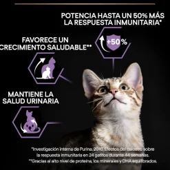 Pro Plan Kitten Pollo pienso para gatitos Clearance