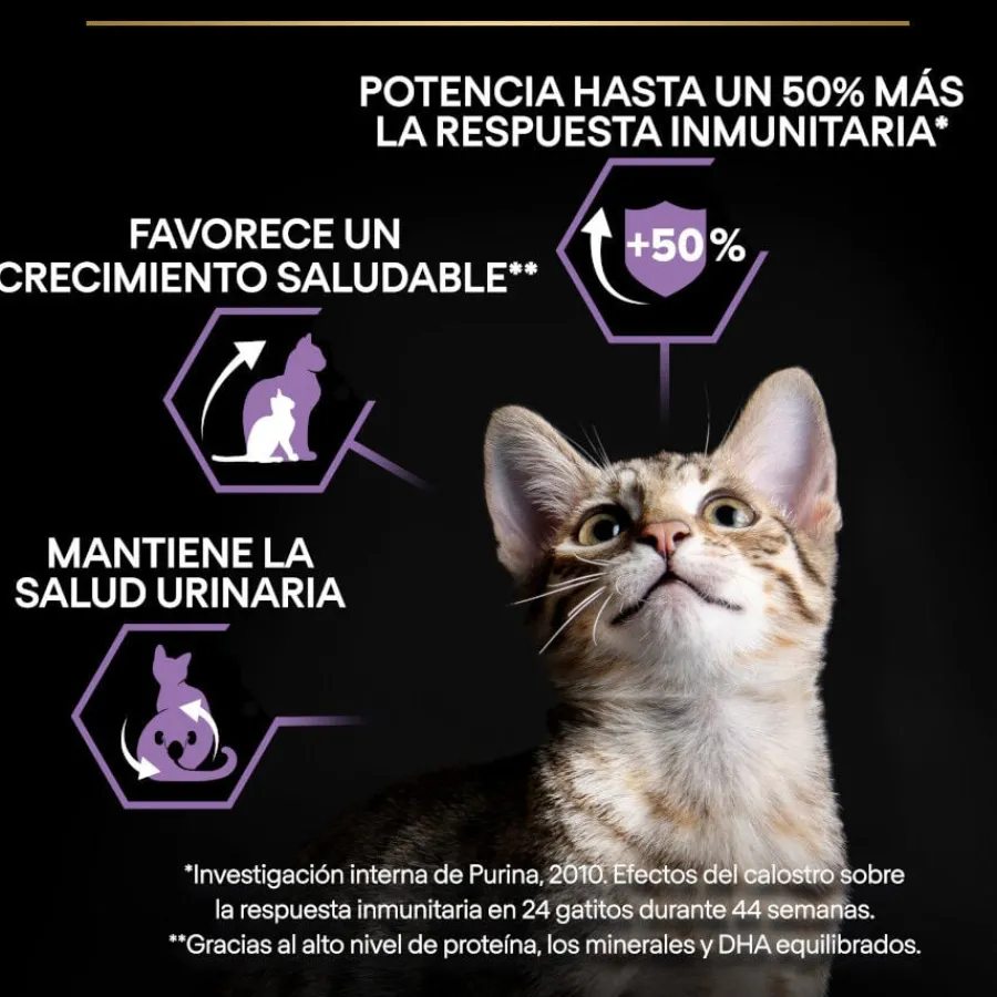Pro Plan Kitten Pollo pienso para gatitos Clearance