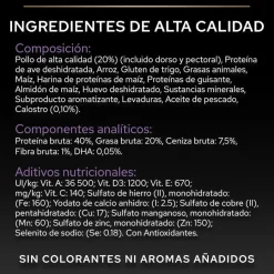 Pro Plan Kitten Pollo pienso para gatitos Clearance