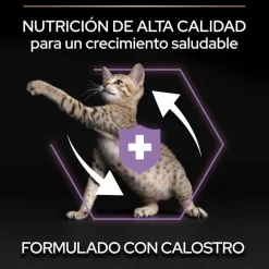 Pro Plan Kitten Pollo pienso para gatitos Clearance
