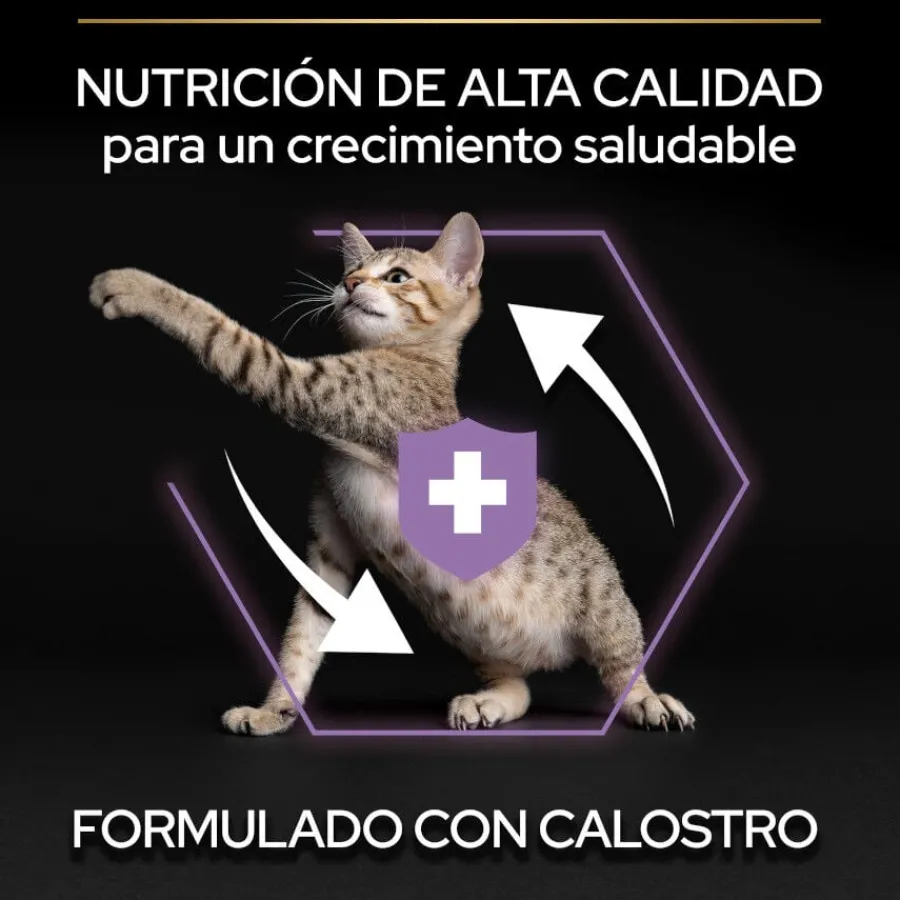 Pro Plan Kitten Pollo pienso para gatitos Clearance