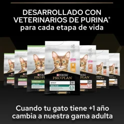 Pro Plan Kitten Pollo pienso para gatitos Clearance