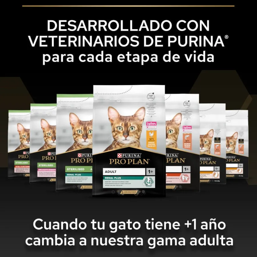 Pro Plan Kitten Pollo pienso para gatitos Clearance