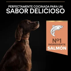 Pro Plan Large Athletic Adult Salmón piel sensible pienso para perros Online