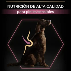 Pro Plan Large Athletic Adult Salmón piel sensible pienso para perros Online
