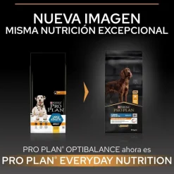 Pro Plan Large Athletic Adult Pollo pienso para perros Discount