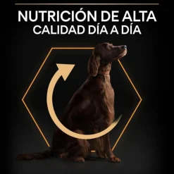 Pro Plan Large Athletic Adult Pollo pienso para perros Discount