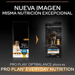 Pro Plan Large Robust Adult pienso para perros Outlet