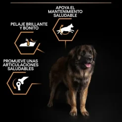 Pro Plan Large Robust Adult pienso para perros Outlet
