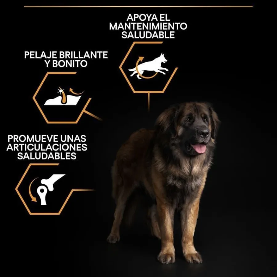 Pro Plan Large Robust Adult pienso para perros Outlet