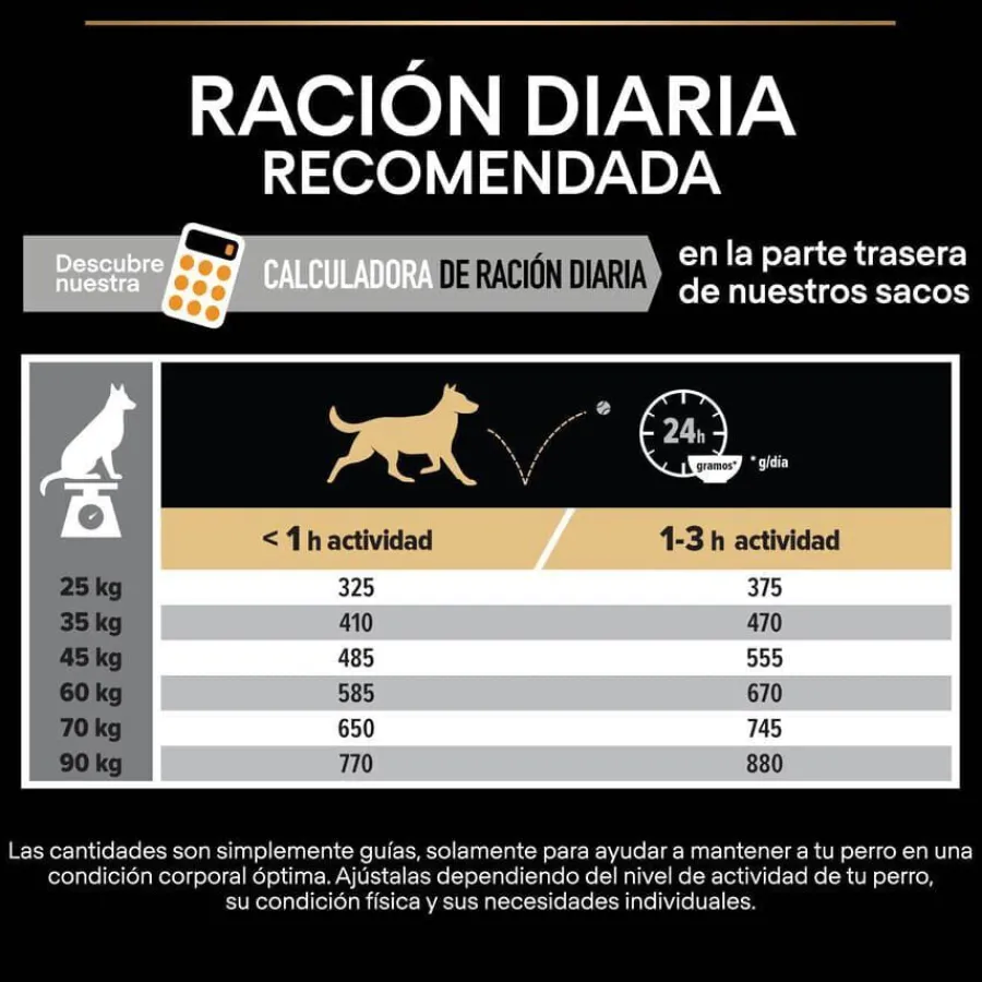 Pro Plan Large Robust Adult pienso para perros Outlet