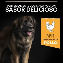 Pro Plan Large Robust Adult pienso para perros Outlet