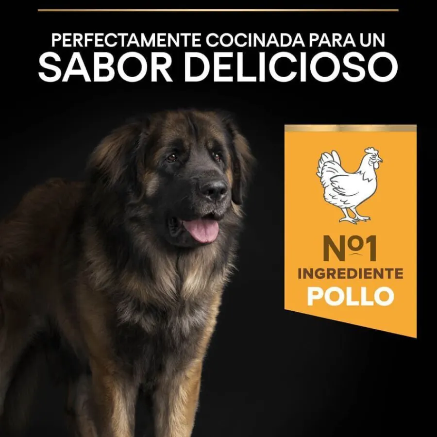 Pro Plan Large Robust Adult pienso para perros Outlet